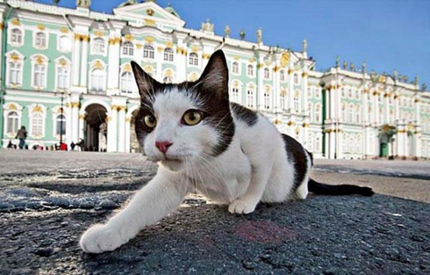 Bảo tàng Hermitage lớn nhất nước Nga ở St Peterburg.