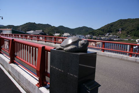 Một chú rùa biển trên cầu ở thị trấn Minami, Tokushima.