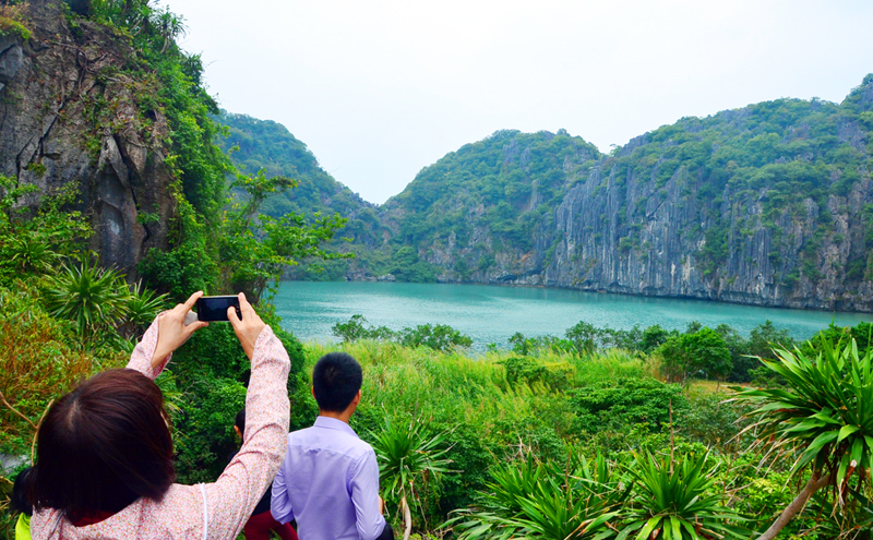 Đảo Mắt Rồng Hạ Long