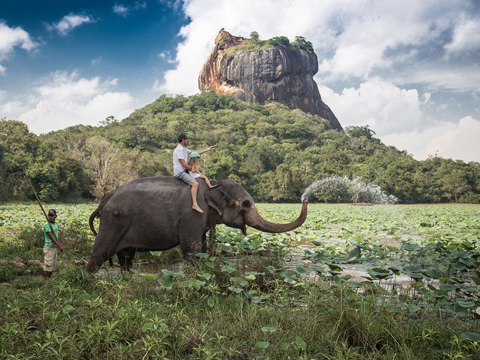 Cưỡi voi ở Sri Lanka