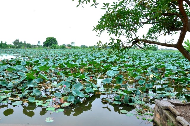 biệt thự cổ Hà Nội