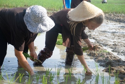 Tour du lịch dân dã Hội An