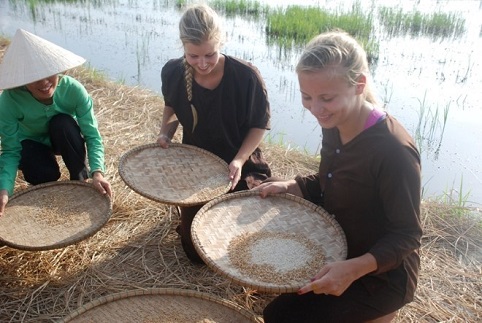 Tour du lịch dân dã Hội An