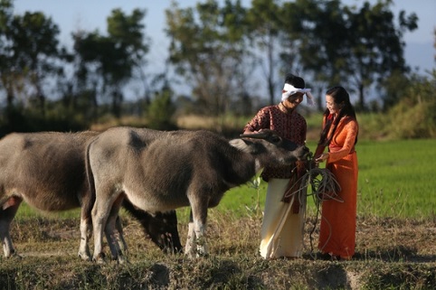 Du lịch Ninh Thuận qua ảnh cưới