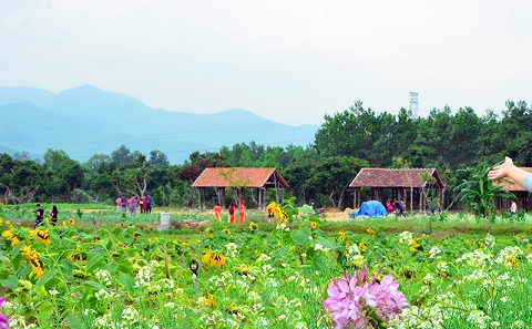 Thiên đường hoa Quảng La