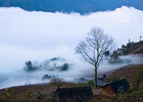 Mây luôn- "đặc sản" sapa