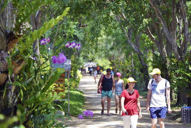 Khám phá 9 điểm đến ấn tượng trong bán đảo Hòn Hèo