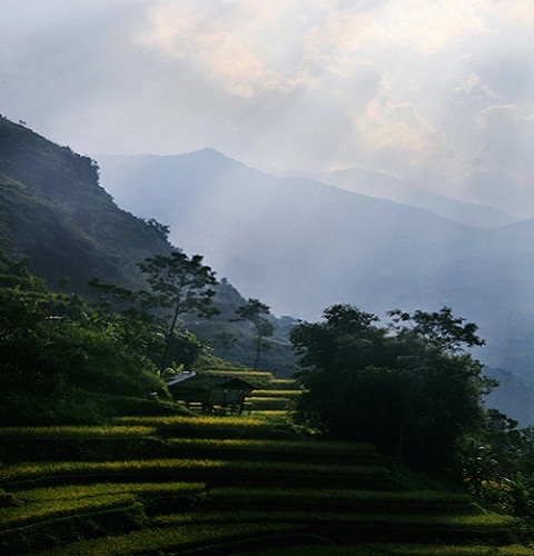 Những hình ảnh bình dị của cuộc sống Tây Bắc Những hình ảnh bình dị của cuộc sống Tây Bắc