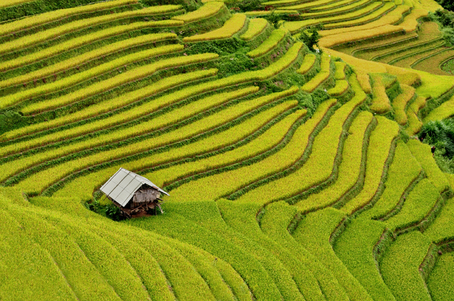 Những hình ảnh bình dị của cuộc sống Tây Bắc Những hình ảnh bình dị của cuộc sống Tây Bắc