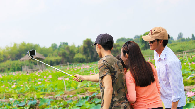 Đẹp ngỡ ngàng đồng sen Tháp Mười