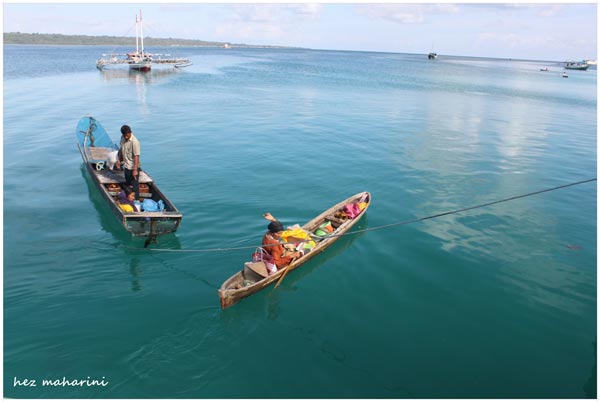 Wakatobi đảo xanh hoang sơ ở Indonesia