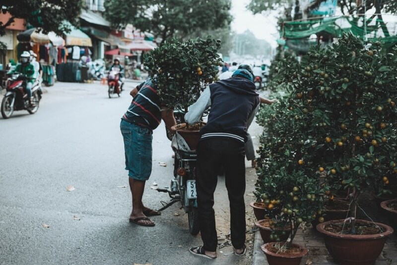 Lịch nghỉ Tết Nguyên Đán Kỷ Hợi và dự báo thời tiết cho cả ba miền