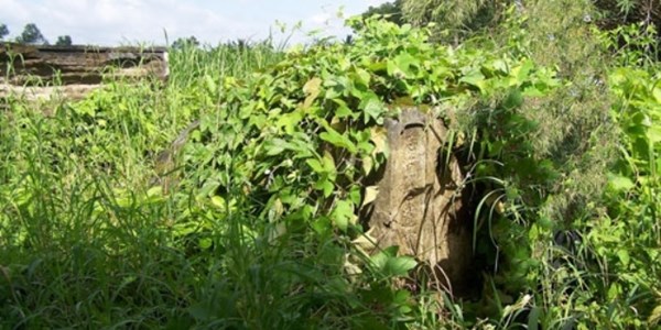 Ng&ocirc;i mộ cổ bị xiềng quanh năm cỏ hoang bao phủ