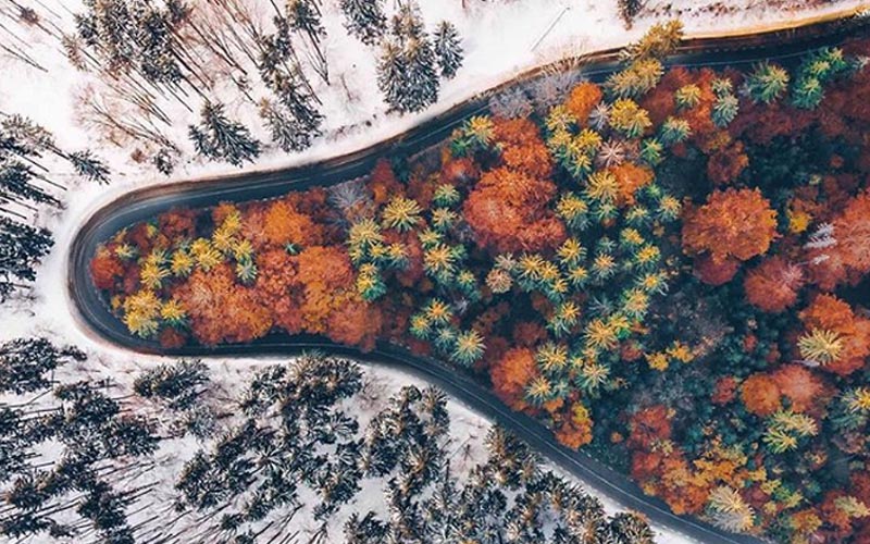 Khoảnh khắc tuyệt đẹp trên thế giới ghi lại trong những bức ảnh