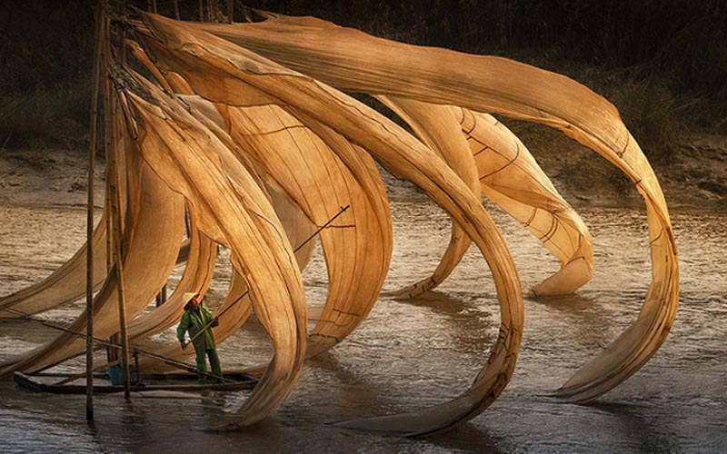 Khoảnh khắc tuyệt đẹp trên thế giới ghi lại trong những bức ảnh