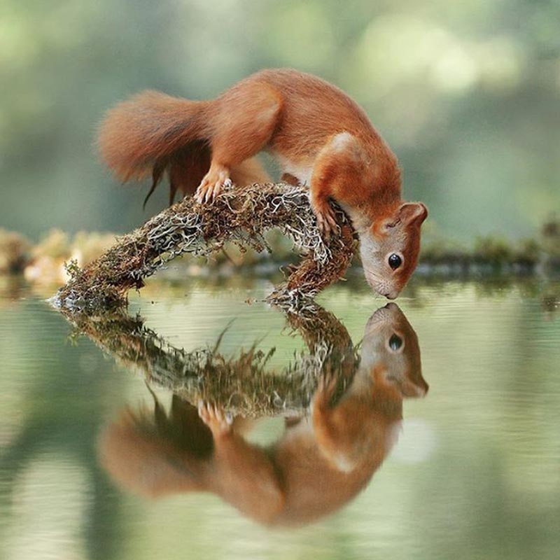 Khoảnh khắc tuyệt đẹp trên thế giới ghi lại trong những bức ảnh