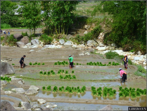 Hành trình đến Sapa - Thiên đường du lịch hè