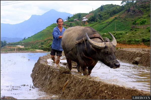 Hành trình đến Sapa - Thiên đường du lịch hè