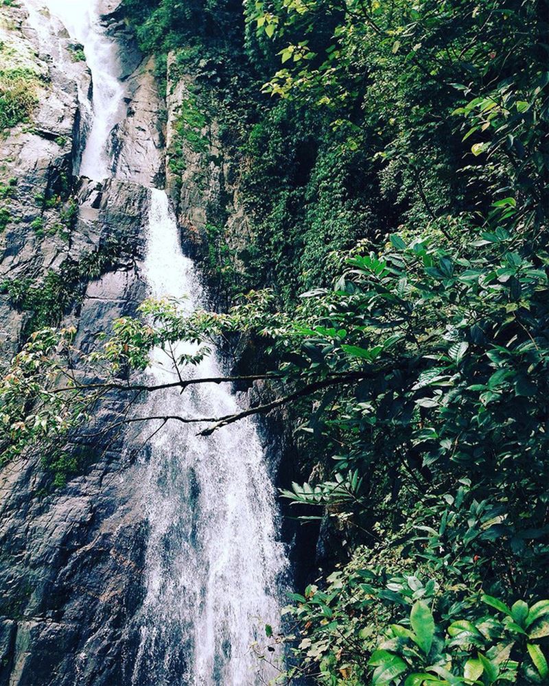 Nằm ẩn mình sâu trong lòng núi rừng, thác Bạc hiện lên thật sinh động với hình ảnh dòng nước nhỏ chảy từ khe núi. @tho_tranggg. 