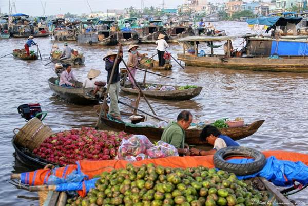 Những ngày rong ruổi miền Tây