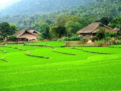 Xe đạp địa hình "đột phá" Tây Côn Lĩnh!