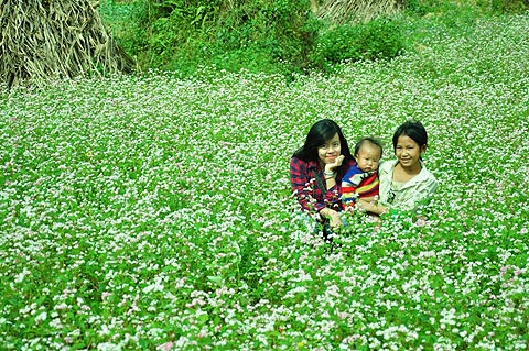 Kinh nghiệm tiết kiệm cho chuyến du lịch ngày Tết 