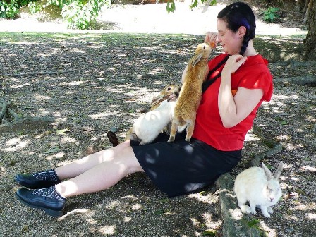  Lạc vào đảo thỏ Ōkunoshima