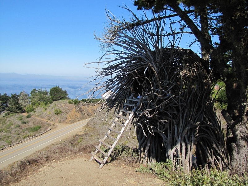 Trải nghiệm ngủ trên tổ chim tại Big Sur