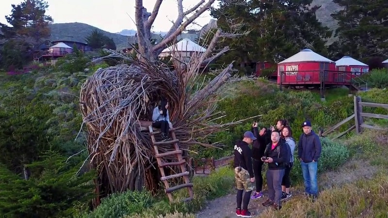 Trải nghiệm ngủ trên tổ chim tại Big Sur