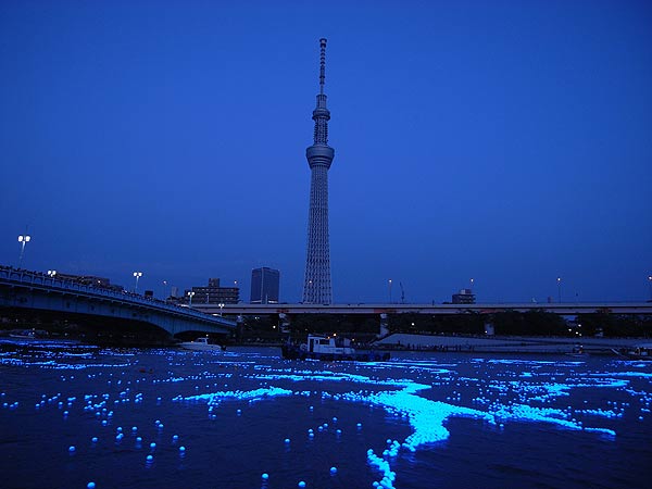 Vũ điệu của ánh sáng trong lễ hội Tokyo Hotaru