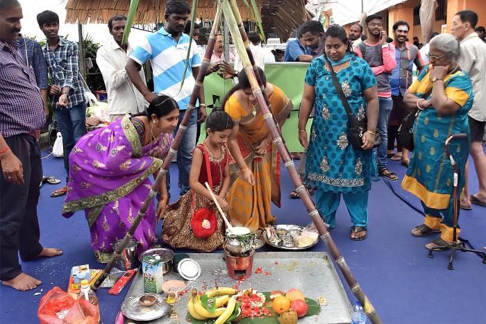 lễ hội mùa xuân Ấn Độ - Lễ hội Pongal