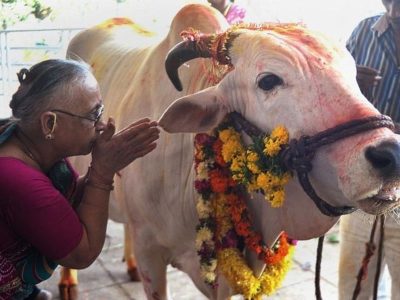3+ Lý do khiến người Ấn Độ không ăn thịt bò bạn cần phải biết