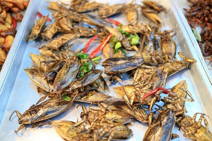 Món ăn từ côn trùng tạo nên sự độc đáo cho ẩm thực Campuchia 