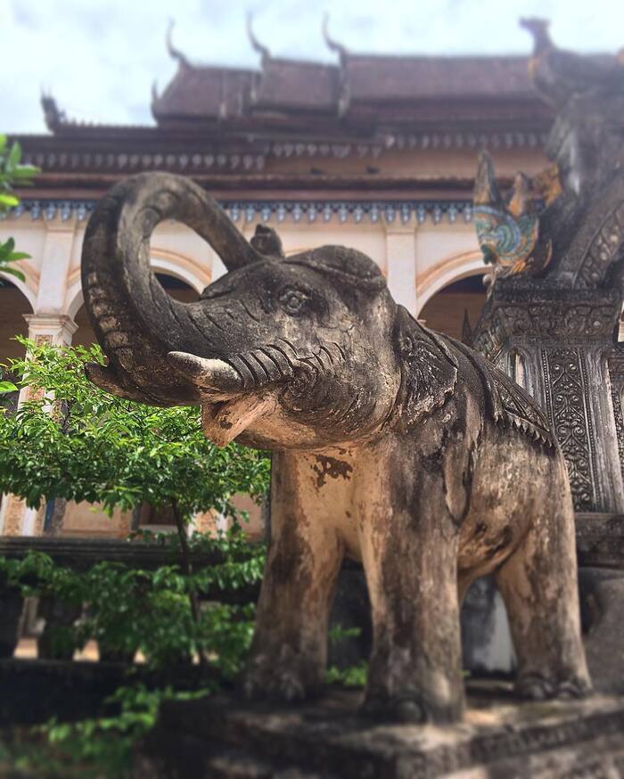 Bức tượng voi ở Chùa Wat Bo Siem Reap