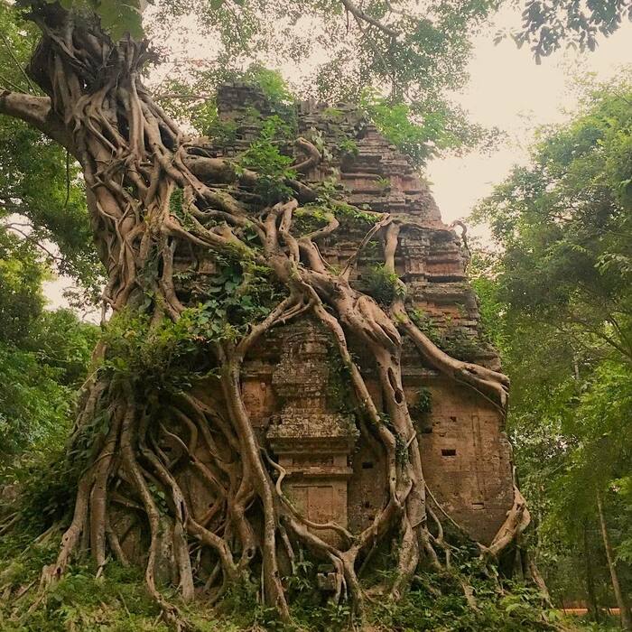 Đền Sambor Prei Kuk nằm sâu trong rừng