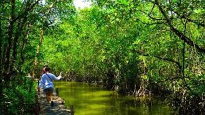 Du lịch Sihanoukville tự túc khám phá Công viên quốc gia Ream