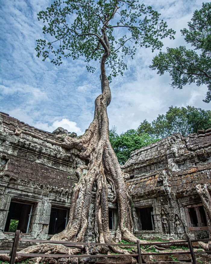 Giới thiệu về Đền Ta Prohm Campuchia