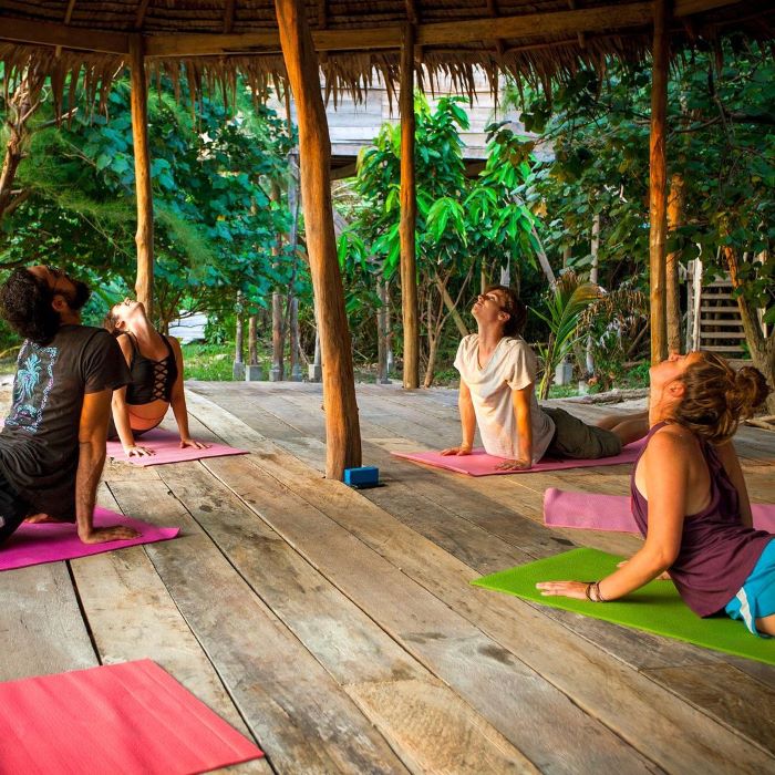 Tập yoga để có cơ thể khỏe mạnh, dẻo dai trong không khí trong lành