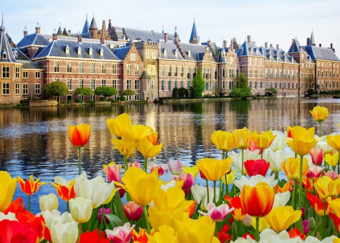Du lịch Hà Lan: Khám phá những điều kỳ diệu ẩn chứa trong “xứ sở hoa tulip”