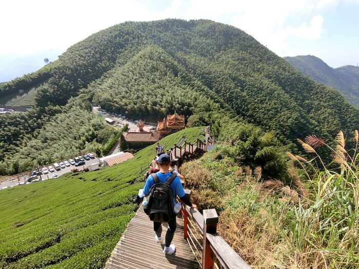 núi Alishan Đài Loan nổi tiếng nhất xứ Đài