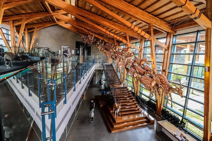 Công viên Đài Loan Zuojhen Fossil hấp dẫn những ai yêu khoa học lịch sử