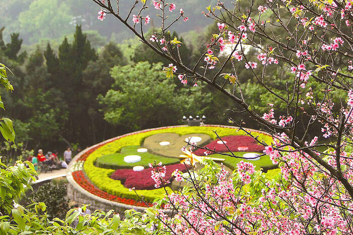 Ngắm nhìn những vườn hoa ở công viên Dương Minh Sơn Đài Loan