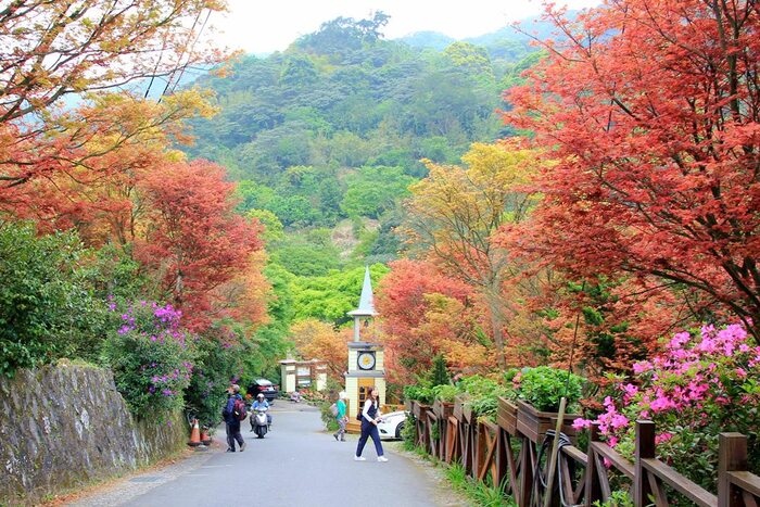 Du lịch Đài Loan mùa thu đến công viên Quốc gia Yangmingshan