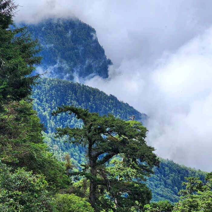 Yushan (Núi Ngọc) là một trong những ngọn núi đẹp nhất Đài Loan