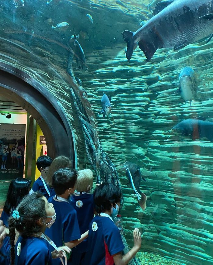 Động vật dưới nước ở The Green Planet Dubai cũng rất đa dạng