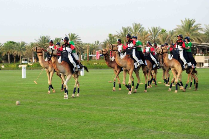 Các môn thể thao truyền thống ở Dubai được nhiều người tham gia