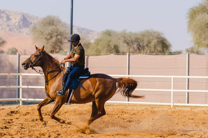 Bạn có thể trải nghiệm cưỡi ngựa ở Ras Al Khaimah