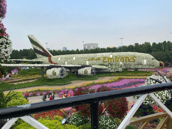 Chiếc máy bay khổng lồ là điểm nổi bật khi khám phá Dubai Miracle Garden