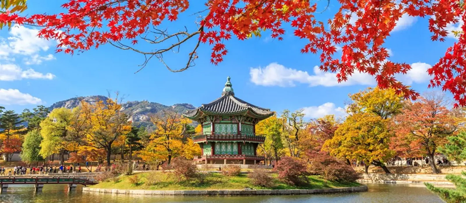 Tận hưởng tour du lịch Hàn Quốc theo cách riêng của bạn