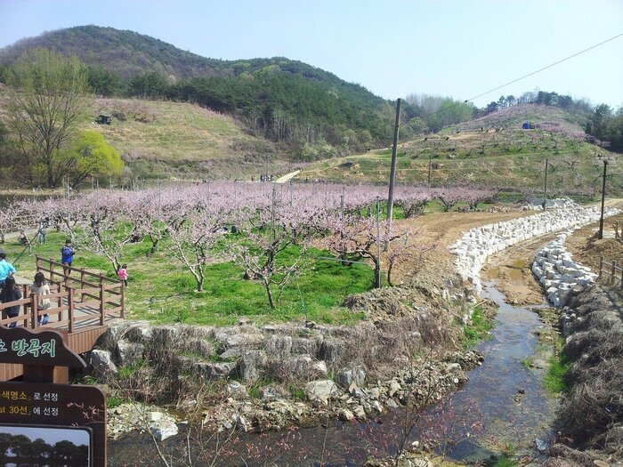 du lịch Gyeongsan